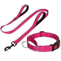 Funtags reflective martingale for sale  Delivered anywhere in USA 