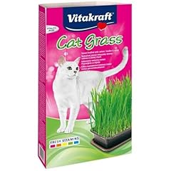 Vitakraft cat grass usato  Spedito ovunque in Italia 