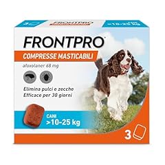 Frontpro compresse masticabili usato  Spedito ovunque in Italia 