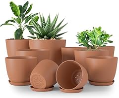 Utopia home plant for sale  Delivered anywhere in USA 