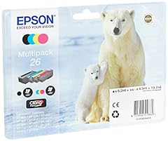 Epson serie orso usato  Spedito ovunque in Italia 