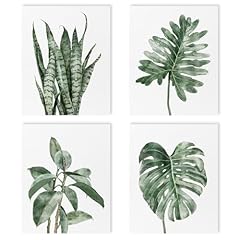 Botanical green plant for sale  Delivered anywhere in USA 