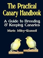 Practical canary handbook for sale  Delivered anywhere in UK