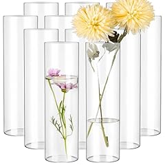 Pack glass cylinder for sale  Delivered anywhere in USA 