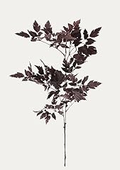 Afloral plum fake for sale  Delivered anywhere in USA 