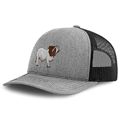 Richardson trucker hat for sale  Delivered anywhere in UK