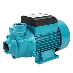 Elektrische pumpe horizontale gebraucht kaufen  Wird an jeden Ort in Deutschland