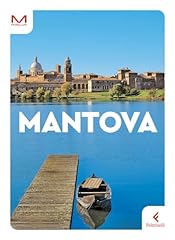 Mantova usato  Spedito ovunque in Italia 