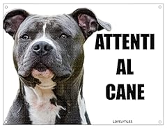 Amstaff attention chien d'occasion  Livré partout en Belgiqu