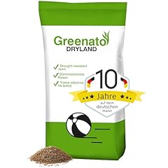 Semi prato greenato usato  Spedito ovunque in Italia 