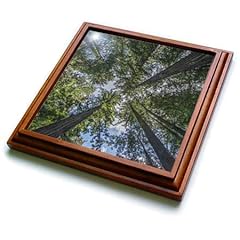 8x8 trivet 6x6 for sale  Delivered anywhere in USA 