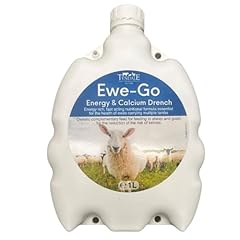 Tyndale ewe energy for sale  Delivered anywhere in UK