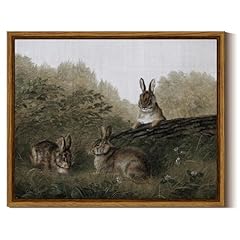 Insimsea framed canvas for sale  Delivered anywhere in USA 