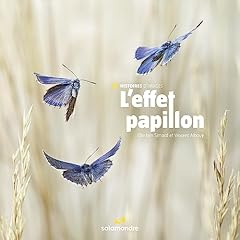 Papillon d'occasion  Livré partout en France