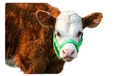 Cattle halter newborn for sale  Delivered anywhere in USA 
