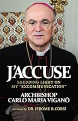 Accuse shedding light for sale  Delivered anywhere in UK