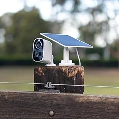 Equine eye vision for sale  Delivered anywhere in USA 