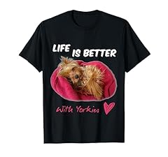 Life better yorkies for sale  Delivered anywhere in UK