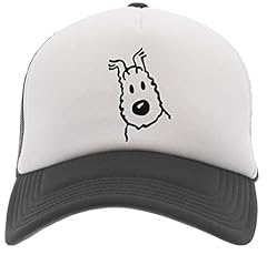 Delavi casquette baseball d'occasion  Livré partout en Belgiqu