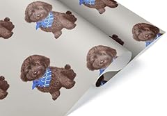 Black goldendoodle puppy for sale  Delivered anywhere in USA 