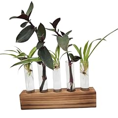 Reagenzgläser blumen reagenzg gebraucht kaufen  Wird an jeden Ort in Deutschland