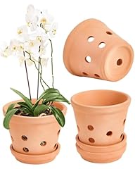 Vensovo terracotta orchid for sale  Delivered anywhere in USA 