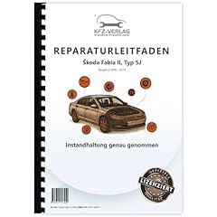 Skoda fabia 2006 gebraucht kaufen  Wird an jeden Ort in Deutschland