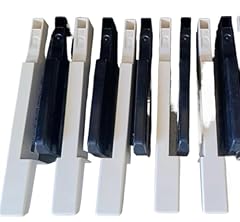 Eejinwen korg triton for sale  Delivered anywhere in UK
