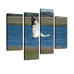 IGOONE 4 Panels Canvas Paintings - Whooping Crane in for sale  Delivered anywhere in Canada