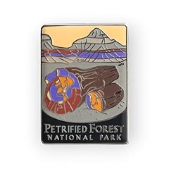 Petrified forest national for sale  Delivered anywhere in USA 