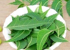 Fresh neem leaves for sale  Delivered anywhere in USA 