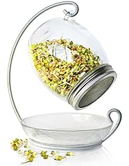 Premium sprouting jar for sale  Delivered anywhere in USA 