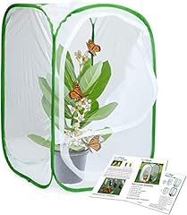 Restcloud insect butterfly for sale  Delivered anywhere in USA 