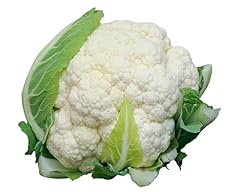Winter vegetable plants for sale  Delivered anywhere in UK