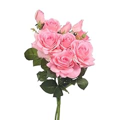 Aipetree pink roses for sale  Delivered anywhere in USA 