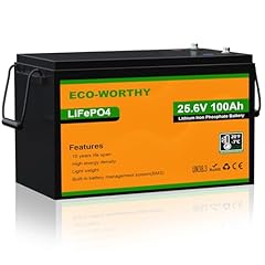 Eco worthy lifepo4 usato  Spedito ovunque in Italia 