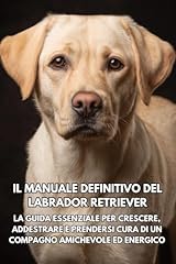 Manuale definitivo del usato  Spedito ovunque in Italia 