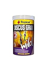Tropical discus wild gebraucht kaufen  Wird an jeden Ort in Deutschland