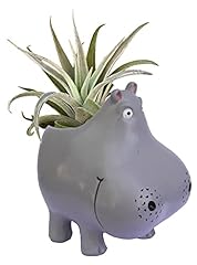 Gff grass flip for sale  Delivered anywhere in USA 