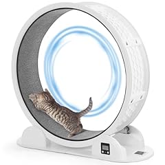 Hovono cat exercise for sale  Delivered anywhere in USA 