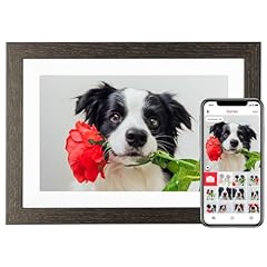 Bihiwoia 10.1 frameo for sale  Delivered anywhere in USA 