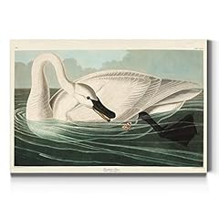 Renditions gallery trumpeter for sale  Delivered anywhere in USA 