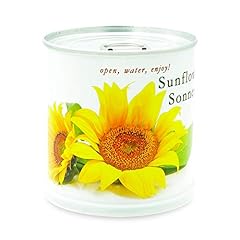 Macflowers sonnenblume blumen gebraucht kaufen  Wird an jeden Ort in Deutschland