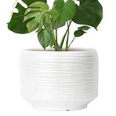 Bestseler inch ceramic for sale  Delivered anywhere in USA 