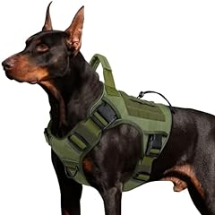 Wingoin green harness for sale  Delivered anywhere in USA 