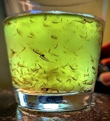 Live brine shrimp for sale  Delivered anywhere in USA 