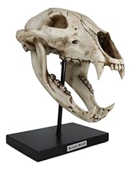 Ebros faux taxidermy for sale  Delivered anywhere in USA 