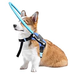 Letpetrun blind dog for sale  Delivered anywhere in USA 