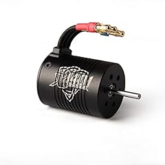 Tenshock pole buggy usato  Spedito ovunque in Italia 