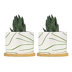 Bruyu5se african zebra for sale  Delivered anywhere in USA 